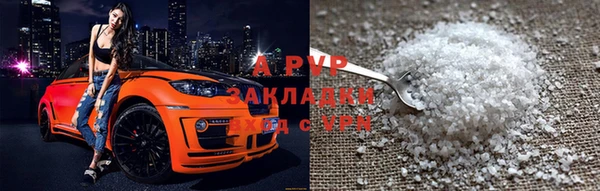 стаф Алексин