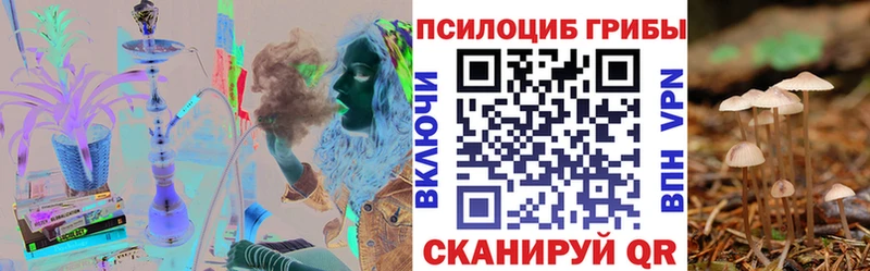Галлюциногенные грибы Magic Shrooms hydra маркетплейс Сураж
