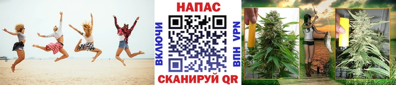Шишки марихуана LSD WEED  где можно купить   hydra онион  Сураж 